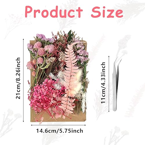 Fleurs Sechees Naturelles, Fleur Sechees Decoration Roses avec Pince, Petites Bouquet Fleurs Séchées, Fleurs Séchées Vrac, Fleurs Séchées Mariage pour Scrapbooking, Bougie DIY, Bijoux Artisanaux - Nail Gallerys