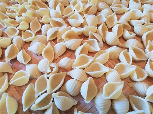 BNN - Avance/Seire 7000 - ASCONR38 - Disque de pâtes Conchiglie Rigate 38mm compatible avec Philips Pasta Maker Avance - Nail Gallerys