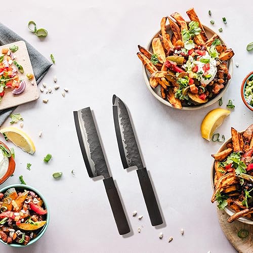 Fishtec - Coffret 2 Couteaux Japonais - Nakiri et Santoku - Lame en Acier - Manche en Palissandre Africain - Boite Cadeau Protégeant la Lame - Coefficient 58 HRC - Martelage Artisanal - Nail Gallerys