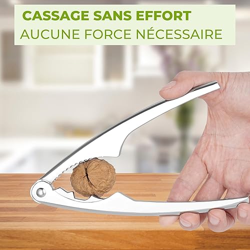 Welsberg Casse-noix pour noix, casse-noix en métal, casse-noisette avec poignée ergonomique, casse-noix pour tous types de noix, casse-langouste, casse-crabe - Nail Gallerys