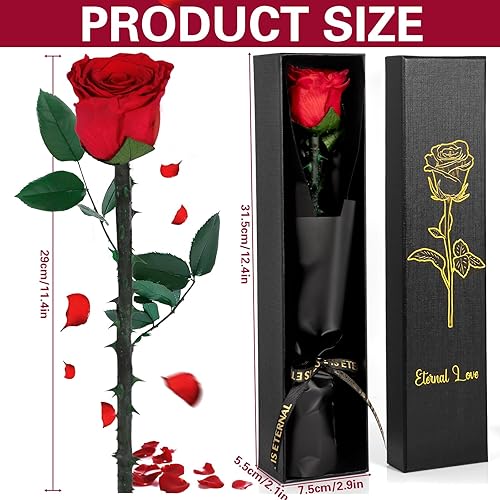 Vautvis Rose Eternelle Cadeau Saint Valentin Femme, Fleur Eternelle Rose Cadeau, Fleur Saint Valentin, Boite Rose Eternelle, Cadeau Fete des Grand Mere, Cadeau Anniversaire Femme, Rose Rouge - Nail Gallerys