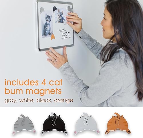 Pearhead Cat Bum Kitchen Magnets, Pet Themed Refrigerator Magnets, Cat Lover Home Décor, Funny Novelty Gift, School Locker Accessories, Set of 4 - Nail Gallerys