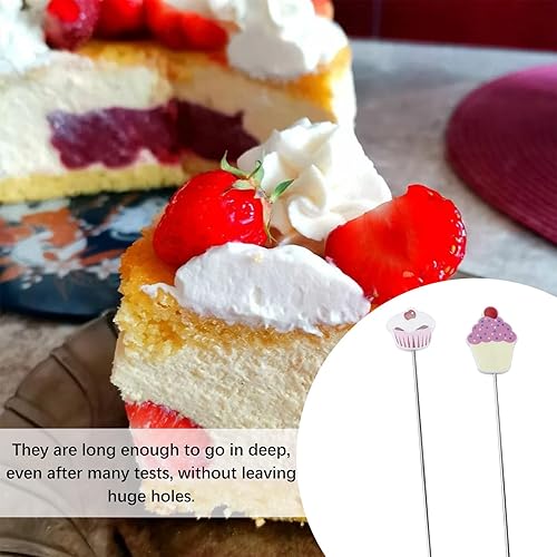 TUKNN Gâteau Aiguilles, Aiguille Gâteau Testeur, Testeur de Gâteau, Aiguilles de Testeur de Gâteau, Sonde de Testeur de Gâteau, Sondes à Gâteau en Acier Inoxydable, Testeur De Gâteau, 2 Pièces - Nail Gallerys