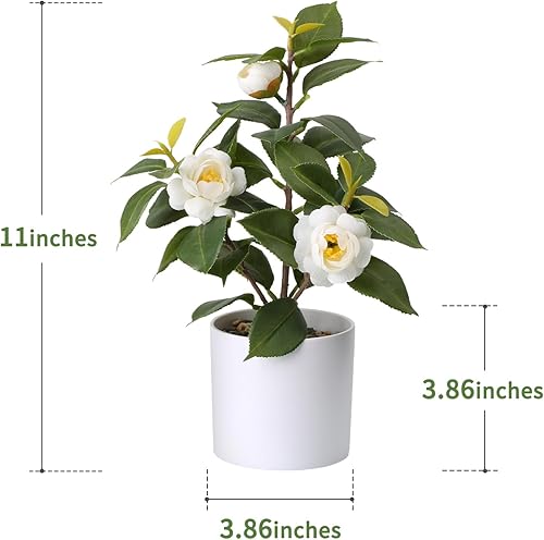 Tuocal Plante artificielle en pot - 28 cm - Camélia vert - Petites plantes artificielles en pot - Pour la maison, le bureau, le salon, l'étagère, le bureau, la décoration de bureau - Jaune - Nail Gallerys