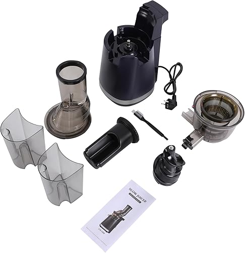 Extracteur de jus électrique, 250 W, avec fonction inverse, extracteur de fruits et légumes, structure de séparation de jus à double port, sans BPA, pour fruits, légumes, grenade - Nail Gallerys