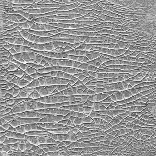 Tim Holtz Distress Crackle Paste 3oz-Translucent -TDA79651 - Nail Gallerys