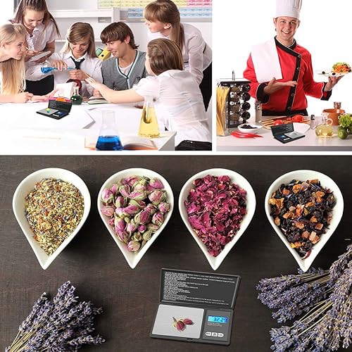 GPISEN Balance de Précision,Balance de Cuisine,Smart échelle avec 7 Unités.Balance de Poche avec Écran LCD,Petite Balance de La Poudre,Bijoux, or,les Pierres Précieuses,etc-500g x 0.01g - Nail Gallerys