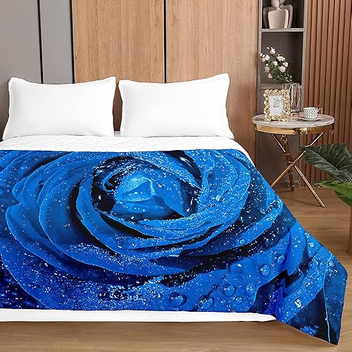 Surwin Couvre Lit Matelassé pour 1 ou 2 Personnes, Réversible Mer Imprimé Dessus de Lit Couverture de lit Doux Microfiber Jeté de Lit Couvre-lit Printemps Été (Bleu Blanc,180x220cm) - Nail Gallerys