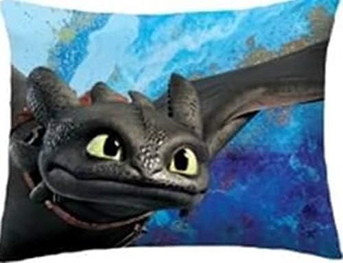 Euromat Dragons Parure de lit FURIE Eclair et Nocturne Housse De Couette How to Train Your Dragon HTTD-6050BL Bleu Blanc Noir 140x200cm +Taie d'oreiller 70x90cm Oeko Tex - Nail Gallerys