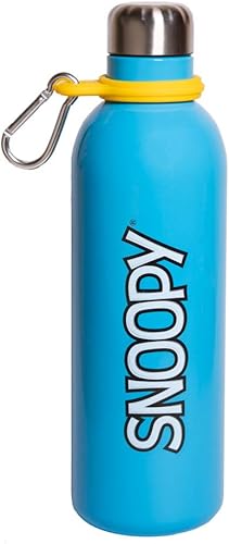 Grupo Erik - Bouteille Isotherme 500ml | Rick & Morty | Acier Inoxydable et Sans BPA - Nail Gallerys