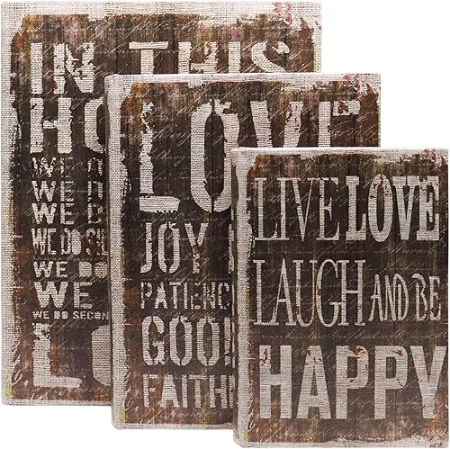 Jolitac Lot de 3 boîtes à livres décoratives, style antique, couvercle magnétique, boîte de rangement en bois foncé vintage - Nail Gallerys