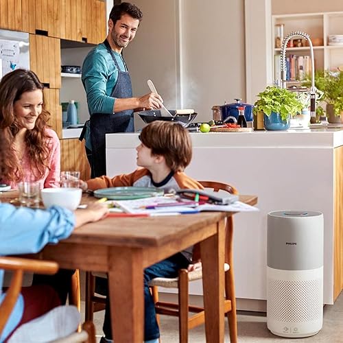 Philips FY2180/30 Filtre de rechange pour purificateur d'air, compatible avec Série 2000i AC2939/10 - Nail Gallerys