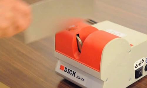 F. DICK RS-75 9806000 Aiguiseur de Couteaux, extracteur (75 W, 230 V, Convient pour Le Magasin et la Restauration) - Nail Gallerys
