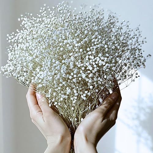 PETALES BOHEME - Gypsophile séché Blanc -Fleur Naturelle séchée et préservée - Bouquet de 45 cm avec Plus de 2000 Fleurs Blanches - Décoration Mariage Artisanat France (Blanc) - Nail Gallerys