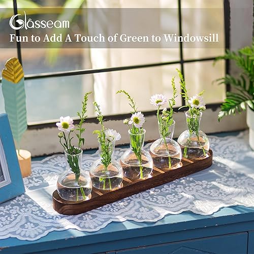 Glasseam Station De Propagation De Plantes en Terrarium, Vase à Bulbes en Verre avec Plateau en Bois, Vases à Bourgeons Modernes pour Le Salon Et Le Bureau, Vase à Fleurs De Bureau - Nail Gallerys