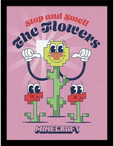 Pyramid International Minecraft (Chibi Comic) Impression collector (encadrée) 30 cm x 40 cm, poster d'art, affiches et impressions, taille unique - Nail Gallerys