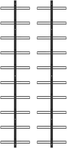 vidaXL 2X Casiers à Bouteilles Muraux pour 20 Bouteilles Etagère à Vin Porte-Bouteilles Casier à Vin Stockage Range-Bouteilles Maison Noir Métal - Nail Gallerys