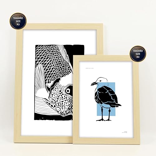 Nacnic Ensemble de 6 affiches à l'encre noire. Coquillages ronds. Impressions artistiques de la mer et de l'océan pour l'aménagement intérieur et la décoration. A3 et A4, sans cadres. - Nail Gallerys