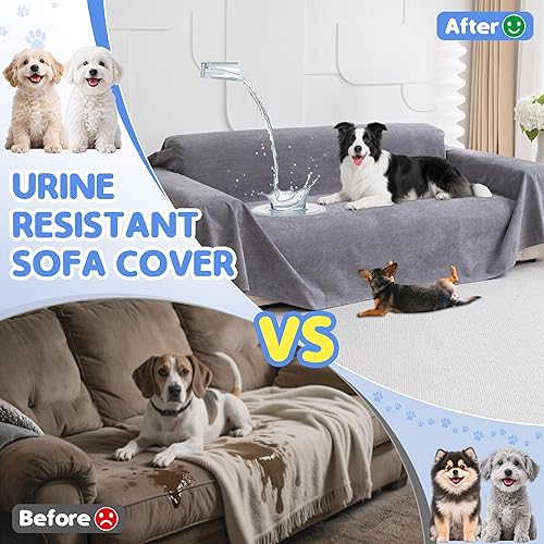 Loiion Grande Protection Canape 3 Places, Protection Canapé Imperméable Animaux, Jete de Canape Grande Taille Antiglisse, Housse de Canapé Anti Poil de Chien, Gris, 380x180cm - Nail Gallerys