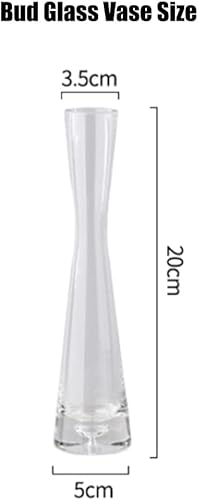 Bamboopack Petit vase en verre soufflé fait à la main à tige unique pour fleurs et bourgeons de bureau, décoration d'intérieur (transparent) - Nail Gallerys