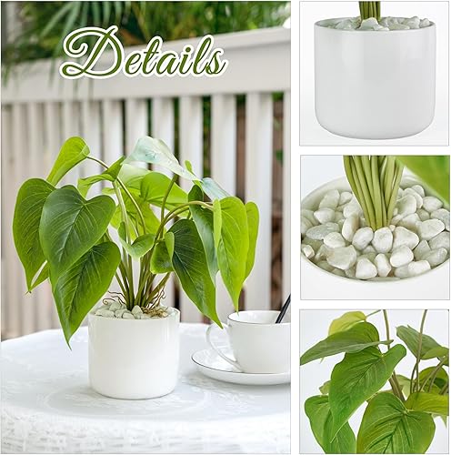 Mkono Plantes artificielles en Pot en céramique de 28 cm pour décoration d'intérieur et d'intérieur avec Pot Blanc Moderne pour Bureau, étagère, décoration de Chambre (Pothos) - Nail Gallerys