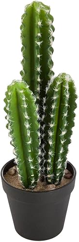 Atmosphera - Cactus Artificiel H42 cm - Modèle 1 - Nail Gallerys