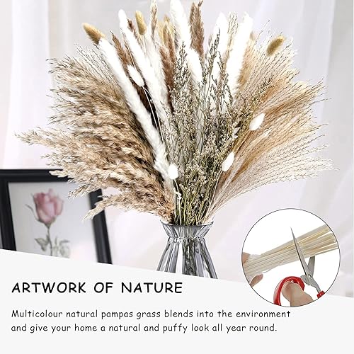 Pampa Séchées Naturelle Décoration 85 PCS Fleurs séchées de 40-44 cm Bouquet Séché d'herbe de Pampa de, Décoration de Vases de Fleurs Séchées pour Boho Mariage, Chambre, Anniversaire - Nail Gallerys