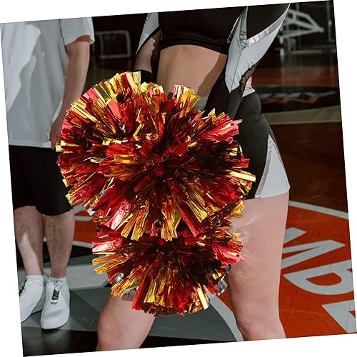 Toyvian Lot De 2 Pompons De Gymnastique À Fleurs pour Pom-Pom Girl Accessoires Arc-en-Ciel pour Pom-Pom Girl avec Poignée pour Animal De Compagnie - Nail Gallerys