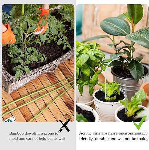 200 Pièces Bâtons de Sucettes en Acrylique Bâtonnets de Gâteau Pops Bâtonnets de Bonbons Tige d'Agitation pour Gâteau Pops Toppers de Cupcake (Transparent, 6 Pouces) - Nail Gallerys