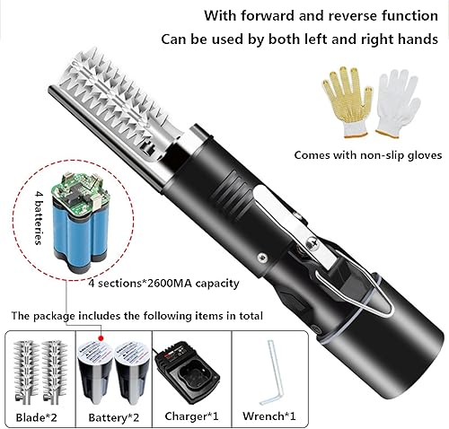 Écailleur À Poisson Professionnel Grattoir À Écailles De Poisson 2 Batteries Rechargeables Intégrées 2 Têtes De Coupe Rotation Bidirectionnelle Pour Les Gauchers Et Les Droitiers - Nail Gallerys