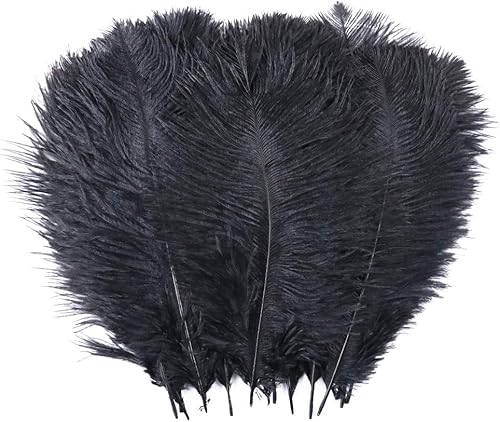 Alnicov Lot de 20 plumes d'autruche naturelles 15 cm-20 cm plumes de plumes de bricolage pour la décoration de table de fête de mariage à la maison (Noir) - Nail Gallerys