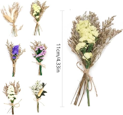 BLLREMIPSUR 6 Pièces Mini Bouquet Fleurs Séchées, Bouquet Fleurs Séchées Artisanales pour Loisirs Créatifs Décoration D'intérieur - Nail Gallerys