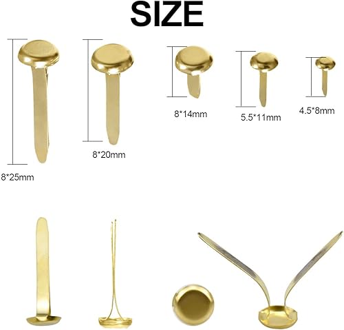 Kissral 500 Pièces Brads Attaches Parisiennes Brads, Métalliques Attaches Parisiennes Laiton Brads Scrapbooking Brads Ronds en Métal pour Papier Craft Estampillage Scrapbooking Bricolage Outil - Nail Gallerys