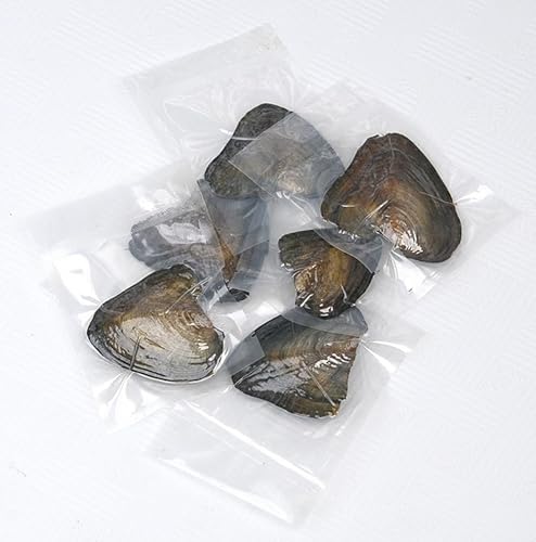 Generic Lot de 20 perles huîtres naturelles de 7 à 8 mm, couleurs aléatoires : blanc, crème, rose, parfaites pour la fabrication de bijoux et les cadeaux, 7-8mm, Perle, Perle synthétique - Nail Gallerys