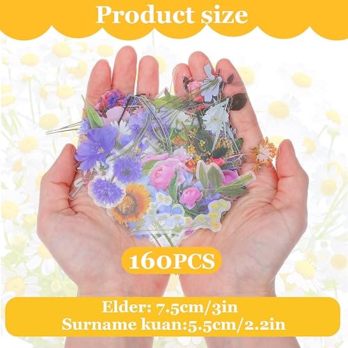 Lot De 160 Autocollant Fleurs, Transparents Stickers Fleurs Autocollant,Autocollants pour Scrapbooking, Plantes, Autocollants En PET pour Bricolage,Planificateur,Album Photo - Nail Gallerys