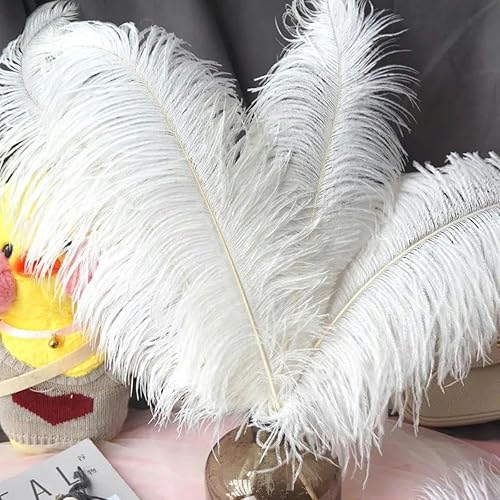 pièces 15-70 cm grandes Plumes d'autruche plumes d'autruche blanches Plumes de Carnaval centres de Table fête accessoires de mariage décoration-55-60 cm grand poteau - Nail Gallerys