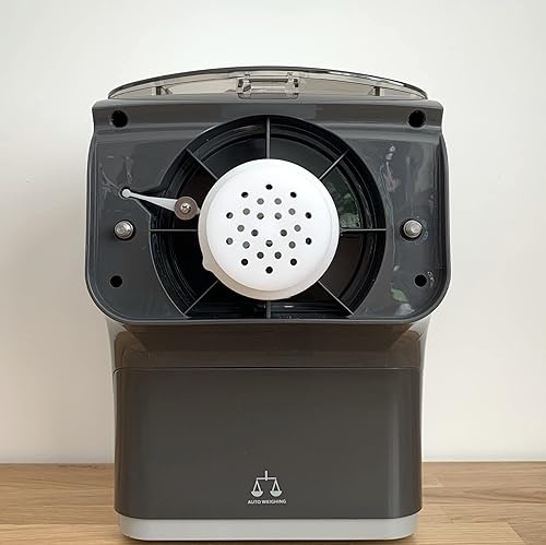 BNN - Avance/Serie 7000 - AR040000 - Disque de pâtes Udon - Banh Canh - 4mm compatible avec Philips Pasta Maker Avance - Nail Gallerys