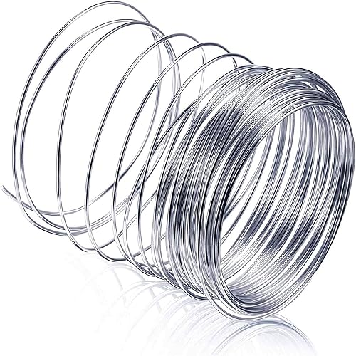 Fil en acier inoxydable 304 de 0,8 mm pour loisirs créatifs, travaux manuels, travaux manuels, sculpture, fabrication de bijoux, ficelle pour bonsaï, fil de jardin - Nail Gallerys