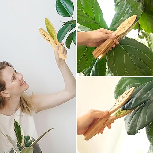 YANGUN Tongs De Plant Leaf, brosse de nettoyage de feuilles de plantes, Pinces De Nettoyage en Forme De Feuille, Brosse Nettoyage Des Feuilles Des Plants, Brosse De Nettoyage De Feuilles pour Plant - Nail Gallerys