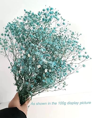 Fleurs séchées - Gypsophile séché - Gypsophile stabilisé Bleu (env 100gr.) - Nail Gallerys