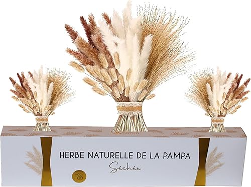 Bouquet Fleurs séchées, lot 100 Pampa Naturelle, 45cm, Herbe séchée de Pampa, plumeau décoratif, déco Salon - Nail Gallerys
