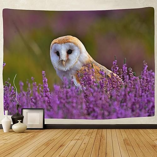 kaiyun Lion blanc mignon Tapisserie Pour Décoration Murale,chambre À Coucher, Animal Tentures Murales Pour Salon 70cmx100cm - Nail Gallerys