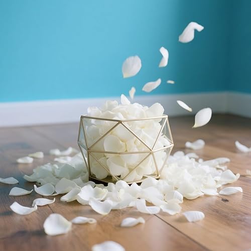 2000 Pièces Pétales de Rose Artificielles,Blanc Petale,Décoration Romantique pour Mariage,Saint Valentin,Centre de Table,Anniversaire - Nail Gallerys