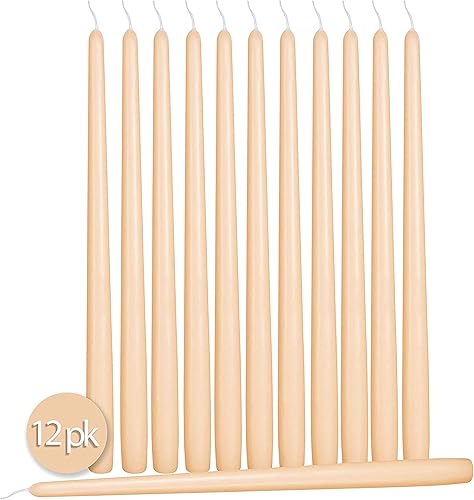 Hyoola Bougies Coniques Hautes - Bougies Haute Coniques Non Parfumées de 250 mm, Crème, Durée de Combustion de 8 Heures - Paquet de 12 Bougies Inodores - Nail Gallerys