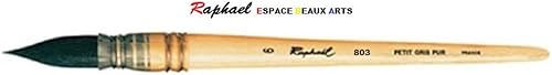 Raphael Pinceau Lavis Aquarelle Petit Gris Pur Monte sur Plume. Serie 803. No.6 - Nail Gallerys