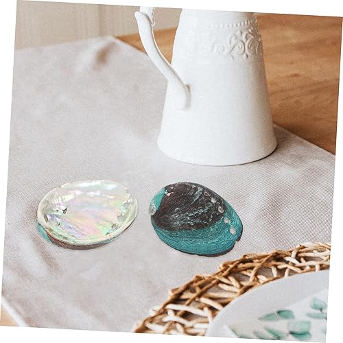 VANZACK Coquille Dormeau pour La Purification Lot De 3 Pièces Bol en Coquillage Naturel Décoration Rituelle pour La Maison Ou Le Bureau Portable Lisse Et Élégant - Nail Gallerys