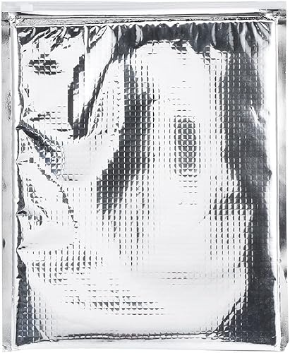 RiToEasysports Sacs Isothermes, 3 Types 5pcs Set Sac Isotherme en Papier D'aluminium isolé Sac de Stockage des Aliments Refroidisseur Thermique Argent - Nail Gallerys