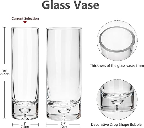 Briful Grand vase cylindrique en verre transparent de 25,5 cm de haut, diamètre de 10 cm, vase à fleurs transparent pour décoration de table et salon - Nail Gallerys