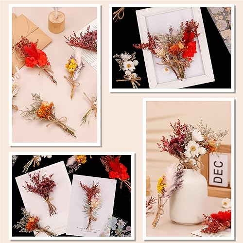 Xinzistar Mini Fleurs Séchées - 6 Bouquets Naturels avec 3 Autocollants en Feuille D'or et 2 Autocollants Cadeaux pour Jardin, Maison et Décorations de Fête - Nail Gallerys
