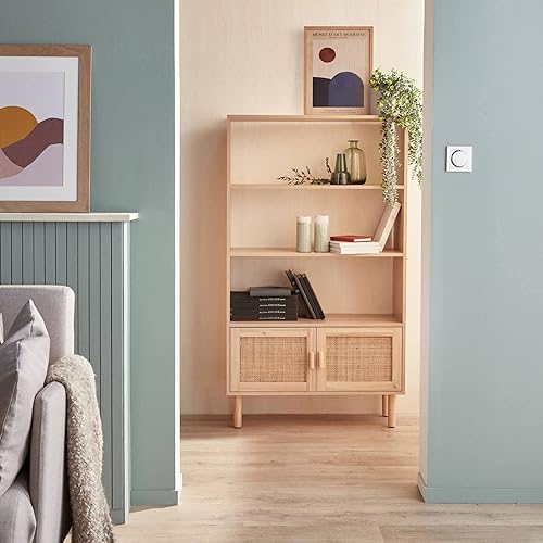 Alice's Home - Étagère bibliothèque décor Bois et cannage - Camargue - 3 Niveaux. 2 Portes - Nail Gallerys